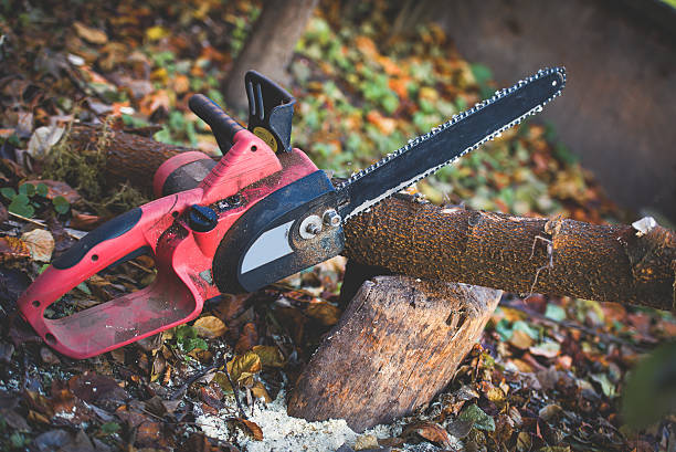 Best Lawn Dethatching  in Harlem, FL